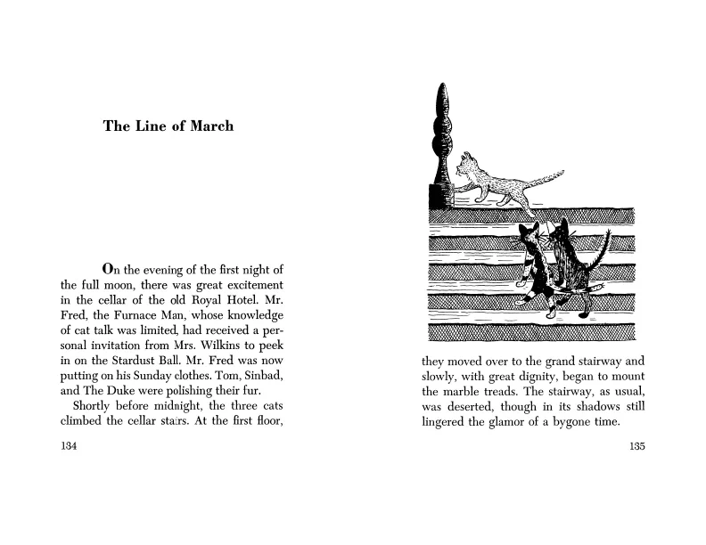 The Hotel Cat - Image 4