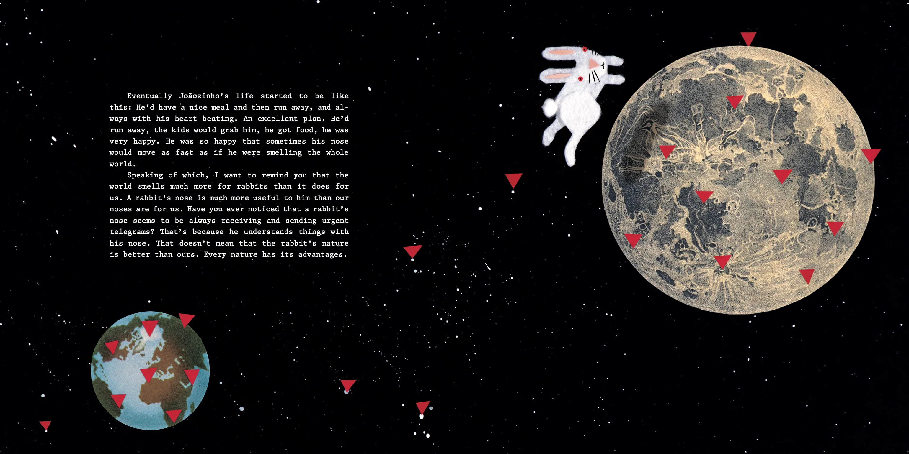 The Mystery of the Thinking Rabbit - Image 8